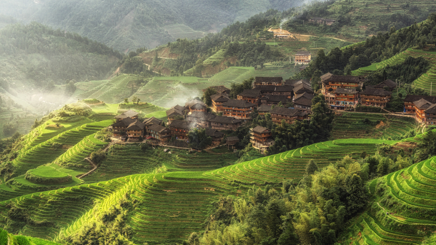 Reisterrassen in der chinesischen Provinz Guangxi